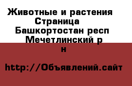  Животные и растения - Страница 2 . Башкортостан респ.,Мечетлинский р-н